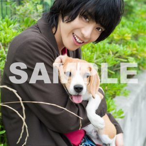 黒羽麻璃央がビーグルにメロメロ、「月刊TVガイド10月号」グラビア＆特典の生写真 イメージ画像