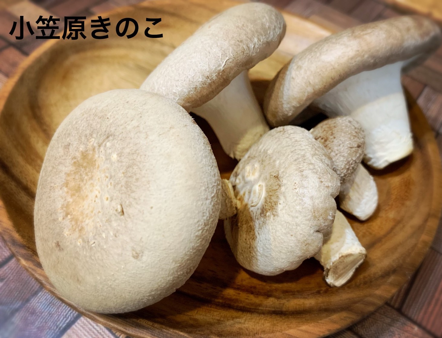 【俳優のおうち時間】橋本真一が「#シイタケつなぎ」ツイートに込めた密かな思いとファンへのエール イメージ画像