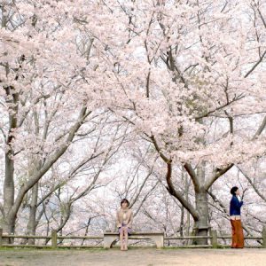 中尾拳也＆兒玉遥W主演の映画『徒桜』　永田崇人・財木琢磨ら福岡出身俳優が集結 イメージ画像