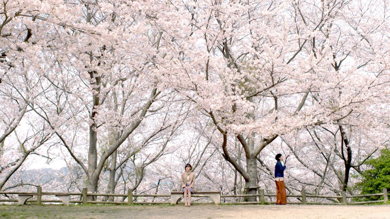 中尾拳也＆兒玉遥W主演の映画『徒桜』　永田崇人・財木琢磨ら福岡出身俳優が集結 イメージ画像