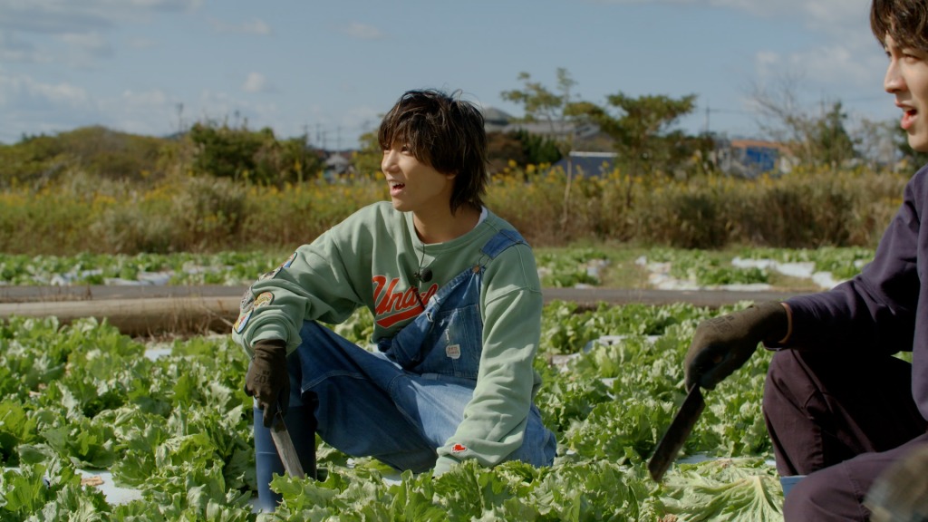 安井謙太郎＆萩谷慧悟が農業に挑戦　『結び農縁 MUSUBI KNOW EN』が2日連続で放送 イメージ画像