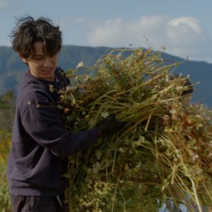 安井謙太郎＆萩谷慧悟が農業に挑戦　『結び農縁 MUSUBI KNOW EN』が2日連続で放送 イメージ画像