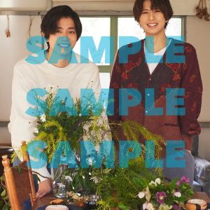高橋健介＆岡宮来夢が表紙を飾る、「TVガイド Stage Stars vol.21」発売中　裏表紙は後藤大・笹森裕貴ら イメージ画像