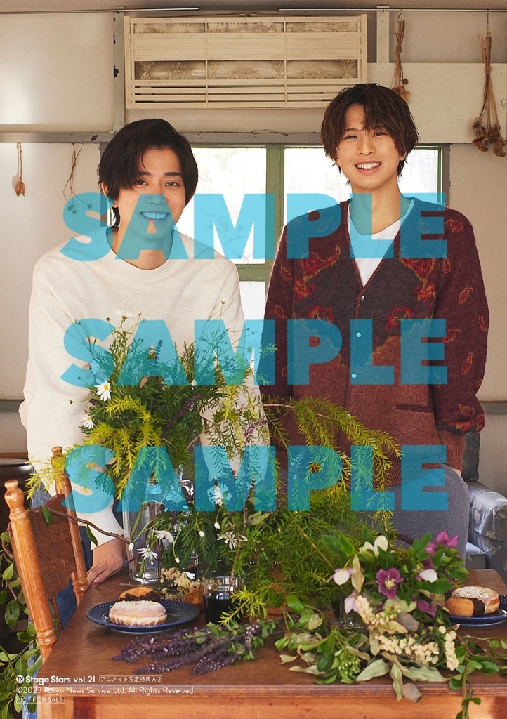 高橋健介＆岡宮来夢が表紙を飾る、「TVガイド Stage Stars vol.21」発売中　裏表紙は後藤大・笹森裕貴ら イメージ画像